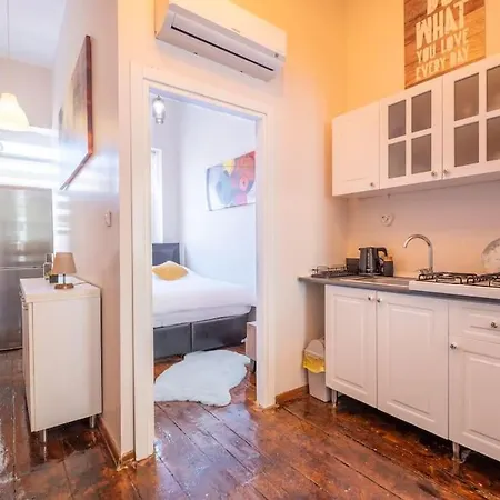 Smashing Flat At The Heart Of Galata アパート イスタンブール